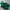 Kangol Streetwear T-shirt Pria green photo 2