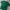 Kangol Streetwear T-shirt Pria green photo 1