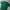Kangol Streetwear T-shirt Pria Green