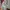 Helly Hansen Casual Bomber jacket Pria cream photo 3