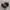 Nike tn photo 1