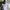 Kangol Skater Futurist Pria multicolor photo 2