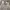 RaBorn Korean Canvas Big Pocket True White Outer Shirt L/S photo 3