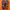 NIKE AIR MAX TN
 photo 5