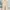 CORAL Minimalist Culotte Wanita Cream