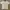 Sportswear Casual Polo shirt Pria white blue photo 2