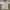 Sportswear Casual Polo shirt Pria white blue photo 1