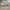 Kangol Streetwear Sweatshirt Pria tan photo 5