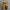 Eider Vintage Y2K Puffer jacket Pria orange photo 1