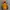 Eider Vintage Y2K Puffer jacket Pria orange photo 2