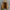 Eider Vintage Y2K Puffer jacket Pria orange photo 4