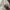 Polo Ralph Lauren Luxury Minimalist Formal shirt Pria white photo 5