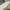 Polo Ralph Lauren Luxury Minimalist Formal shirt Pria white photo 2