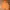Nike Streetwear Sportswear Hoody Pria orange photo 1