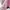 Adidas Casual Sweatshirt Wanita pink photo 5