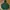 Nike Streetwear Sportswear Hoody Pria Green