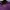 Minimalist Casual Polo shirt Pria purple yellow photo 5