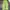 Emo pistachio green high waist denim loose fit photo 10