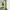 Emo pistachio green high waist denim loose fit photo 3