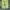 Emo pistachio green high waist denim loose fit photo 8