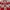 Vintage Capes & poncho Wanita red gray photo 4