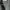Mannequin One Set Army photo 5