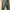 Mannequin One Set Army photo 3