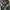Mannequin One Set Army photo 4