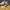Sepatu Running Pria NIKE FREE RN 2018 Made in Vietnam Ringan photo 3