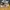 Sepatu Running Pria NIKE FREE RN 2018 Made in Vietnam Ringan photo 2