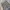 BAGGY JEANS CAMMO CARPENTER DOUBLEKNEE photo 4
