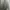 Crocodile Flight Jacket Beige Broken White photo 1
