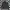 Adidas Sportswear Casual Track jacket Pria black photo 2