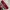 Wilson Headband Red (Padel, Tennis,  photo 1