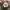 Fjällräven Indie Minimalist Backpack Wanita multicolor photo 2