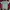 Streetwear Casual T-shirt Pria green photo 1