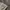 Vintage Grunge Trench coat Wanita green photo 4