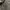Vintage Grunge Trench coat Wanita green photo 3