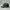Topi Simple Cap CAPSNSTUFF Unstructured Adjustable Second Or photo 5