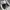 Converse Chuck Taylor All star X Miley Cyrus photo 5
