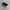 Converse Chuck Taylor All star X Miley Cyrus photo 1