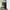 Ballon baggy pants black Japanese photo 2