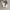 Converse Pro Archical low Flame photo 2
