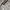 Hazzys x The Championship Wimbeldon Men's White Tee photo 7