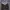 Hoodie Zipper Topten Two Tones Style Luxury photo 2