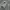 Hoodie FCMM Big Logo Light Grey Style photo 8