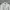 Hoodie Ambler Flower Bordir White Luxury photo 4