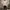 Hoodie MMLG Together Smiley Dark Cream Luxury photo 1