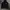Hoodie Forever 21 NY Black Style Luxury photo 2