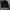 Hoodie Forever 21 NY Black Style Luxury photo 3